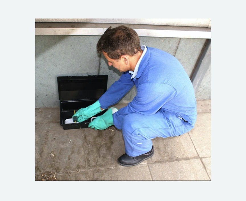 Дератизация помещения в Яровом Дератизация помещения