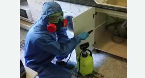 Уничтожение муравьев в квартире. Яровое