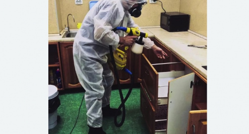 Уничтожение насекомых в квартире. Яровое