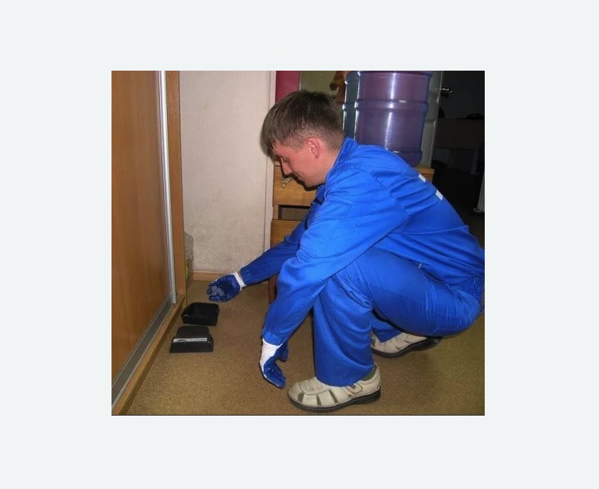 Дератизация крыс в Яровом