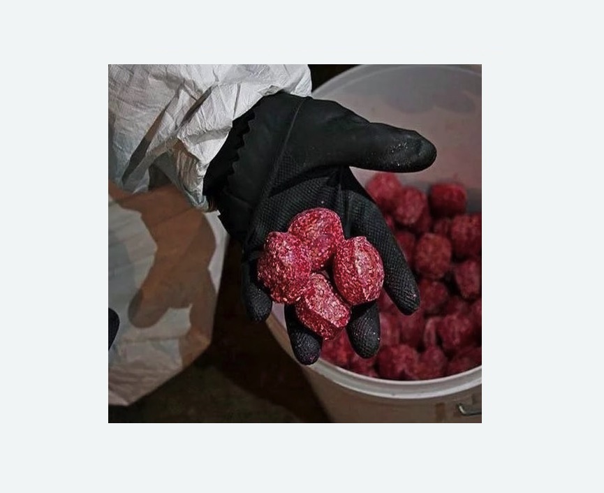 Обработка от крыс в Яровом