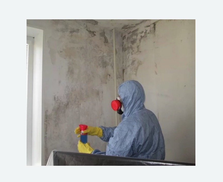 Удаление плесени в квартире в Яровом