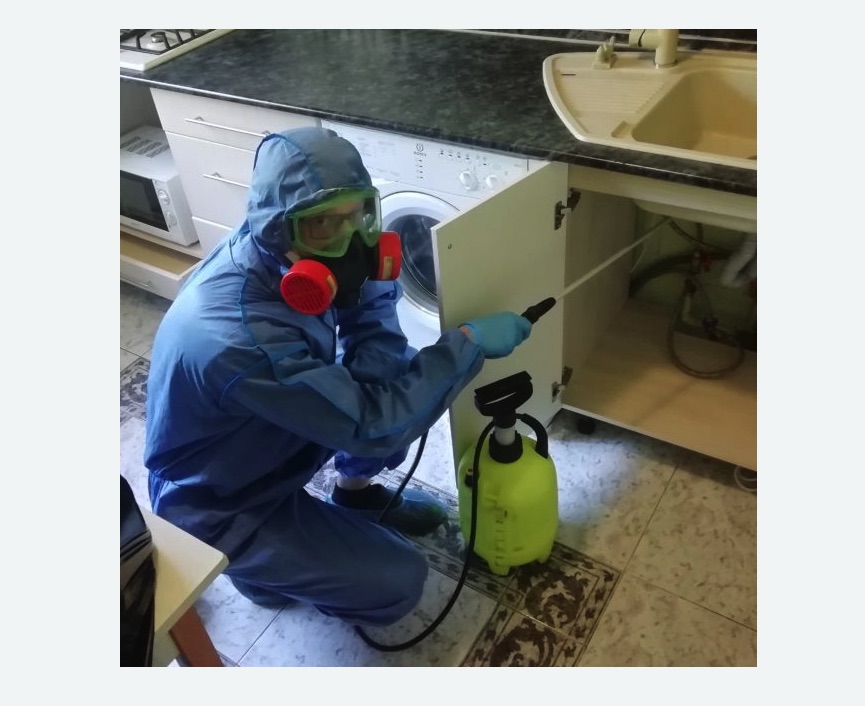 обработка от муравьев в квартире в Яровом