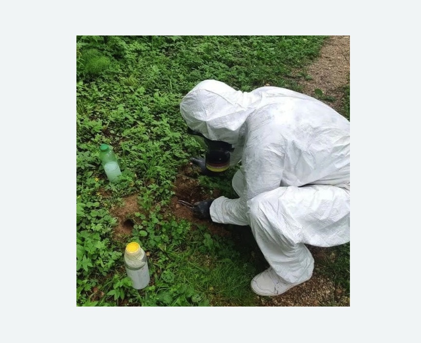 уничтожение кротов на участке в Яровом