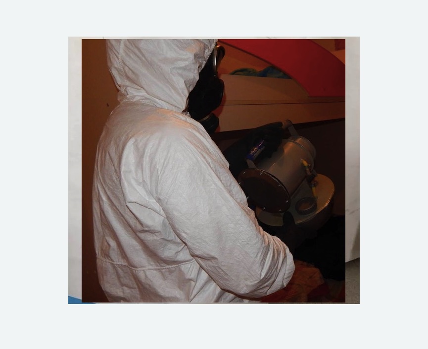 Дезинфекция от муравьев в Яровом