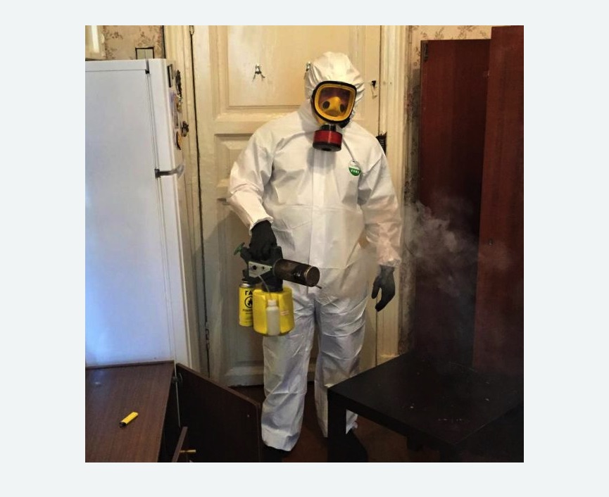 уничтожение муравьев в квартире в Яровом